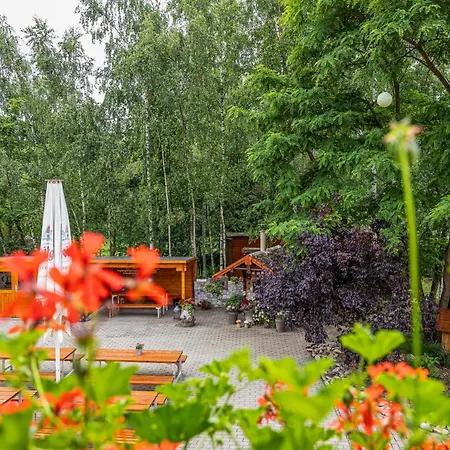 Falkenau Country house Floha