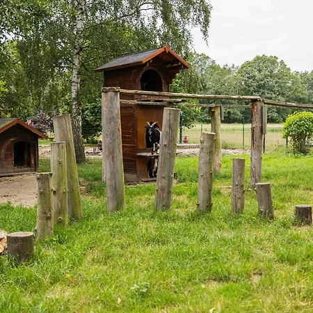 Falkenau Country house Floha